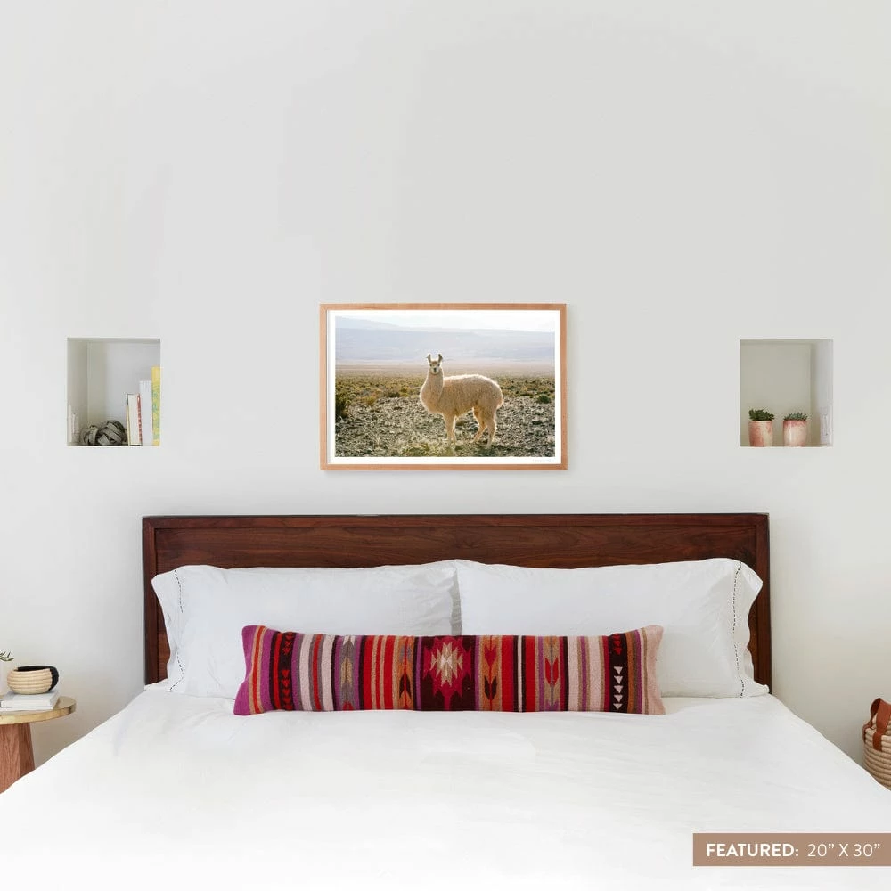 Atacama Desert 6 Atacama Desert - Image 4