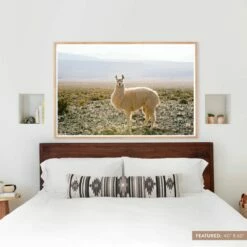 Atacama Desert 16 Atacama Desert -US Home Sales 2024 Art Images Size Labels.015