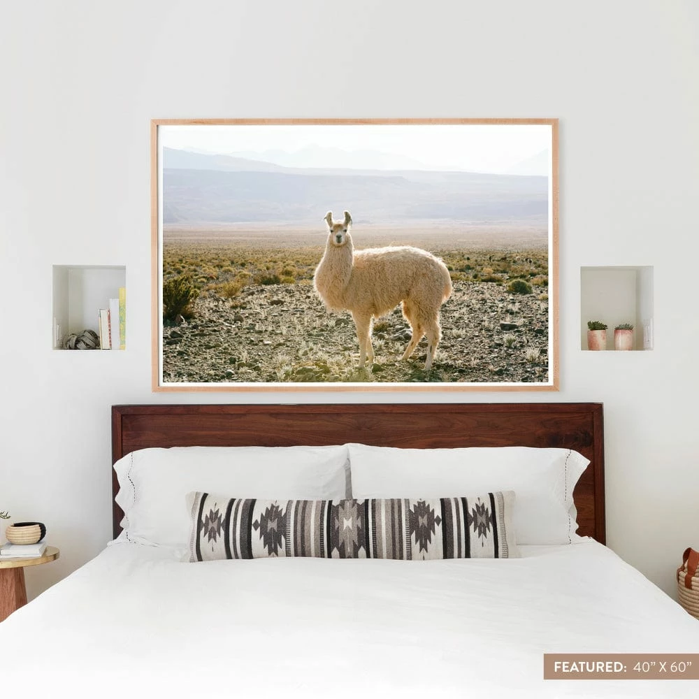 Atacama Desert 8 Atacama Desert - Image 6