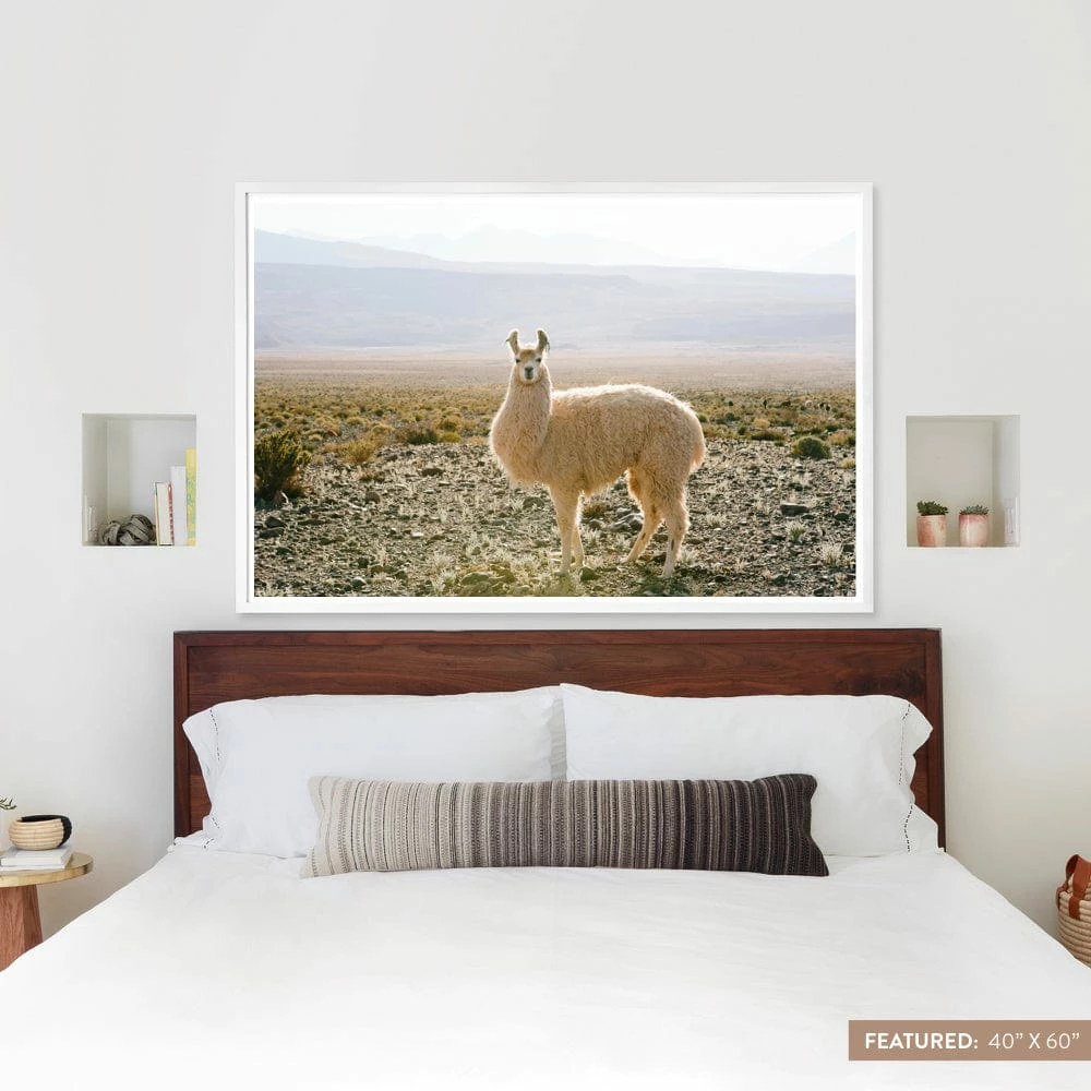 Atacama Desert 11 Atacama Desert - Image 9