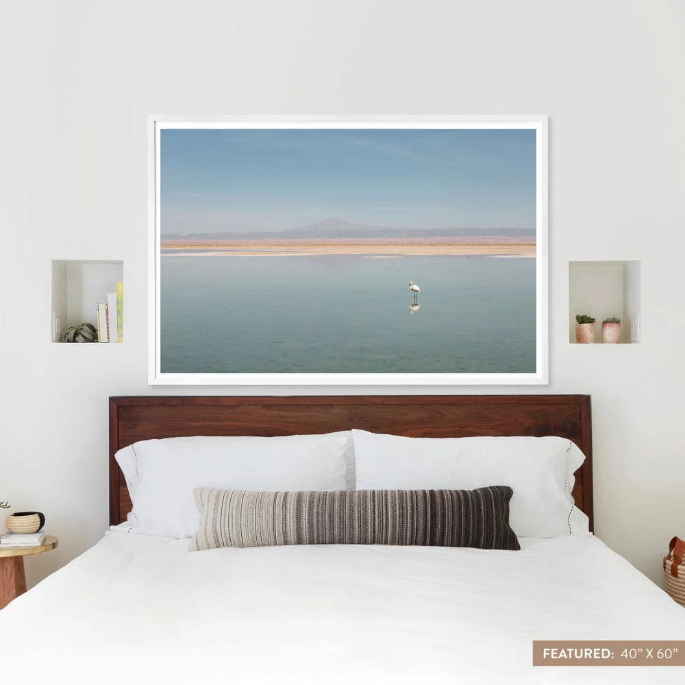 El Flamenco 7 El Flamenco - Image 5