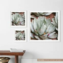 Jardin -US Home Sales 2024 Art Images Size Labels.097