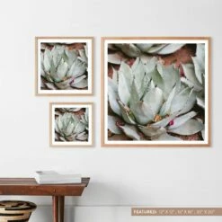 Jardin -US Home Sales 2024 Art Images Size Labels.098