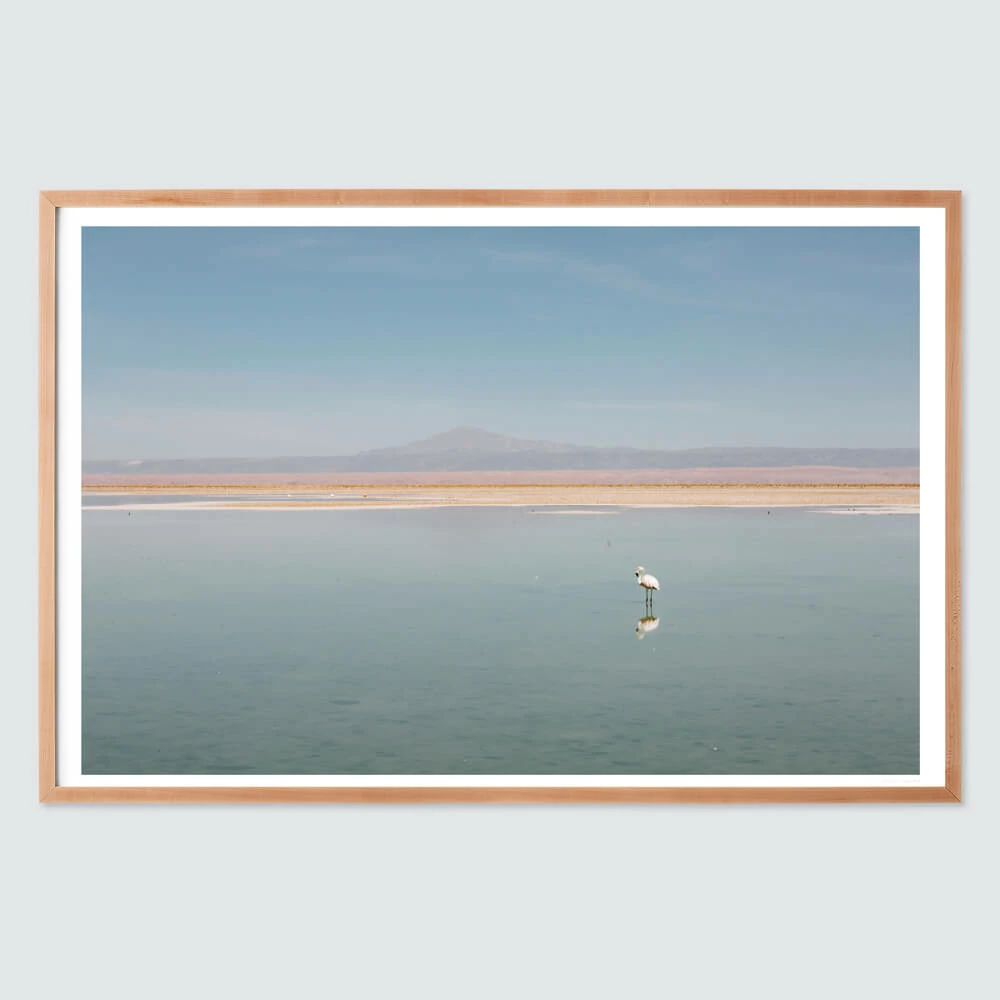 El Flamenco 8 El Flamenco - Image 6