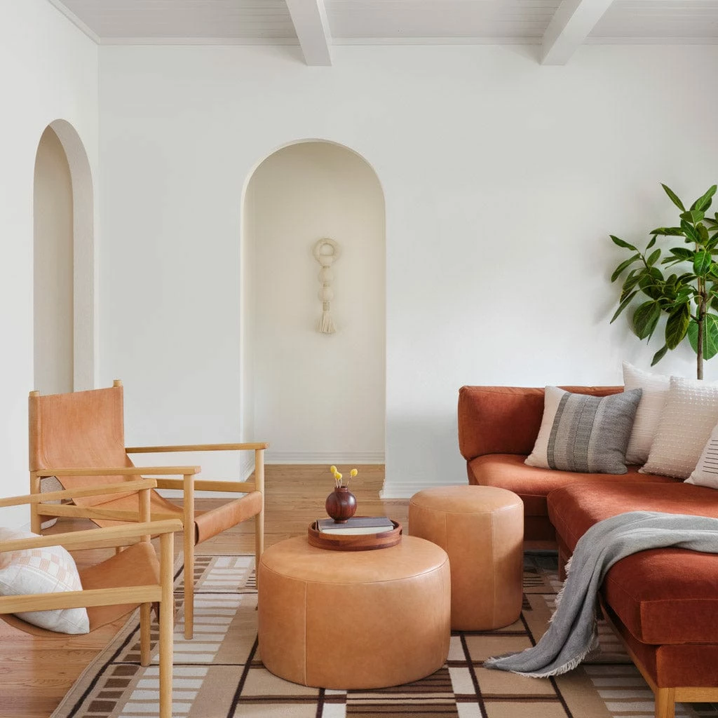 La Puerta Pillow 5 La Puerta Pillow - Image 3