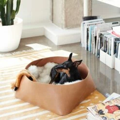 Azad Low Leather Storage Bin -US Home Sales 2024 P0CUtlHDRCiOvOdUb4VhRA thumb 2813