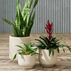 Paseo Tabletop Planter -US Home Sales 2024 Paseo Tabletop Planter 8