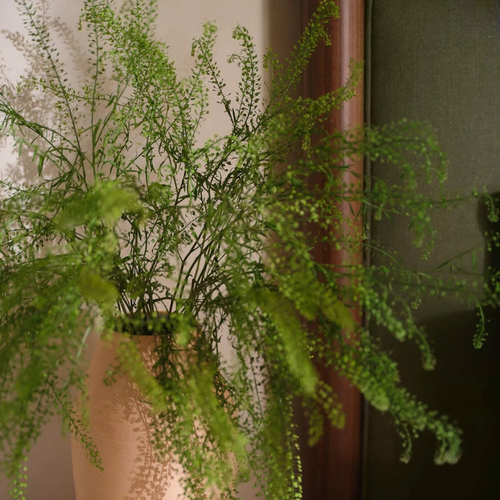 Ridge Bed 14 Ridge Bed - Image 12